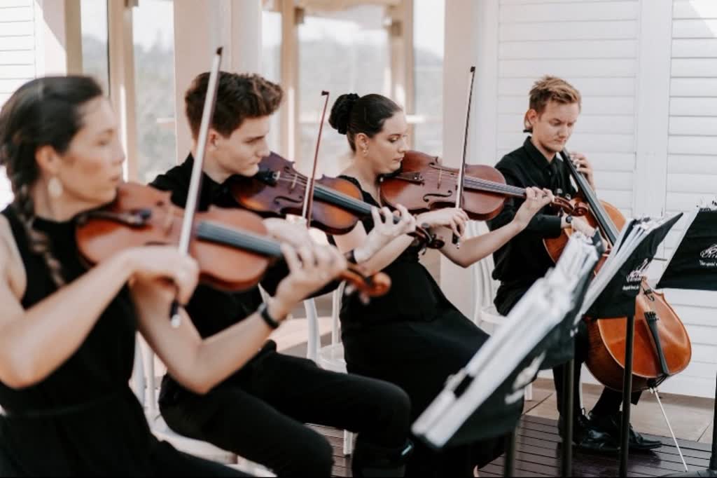 Adiamus String Quartet photo 3