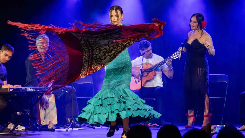 Flamenco Electro