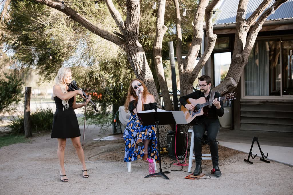 Indi & Co photo 2