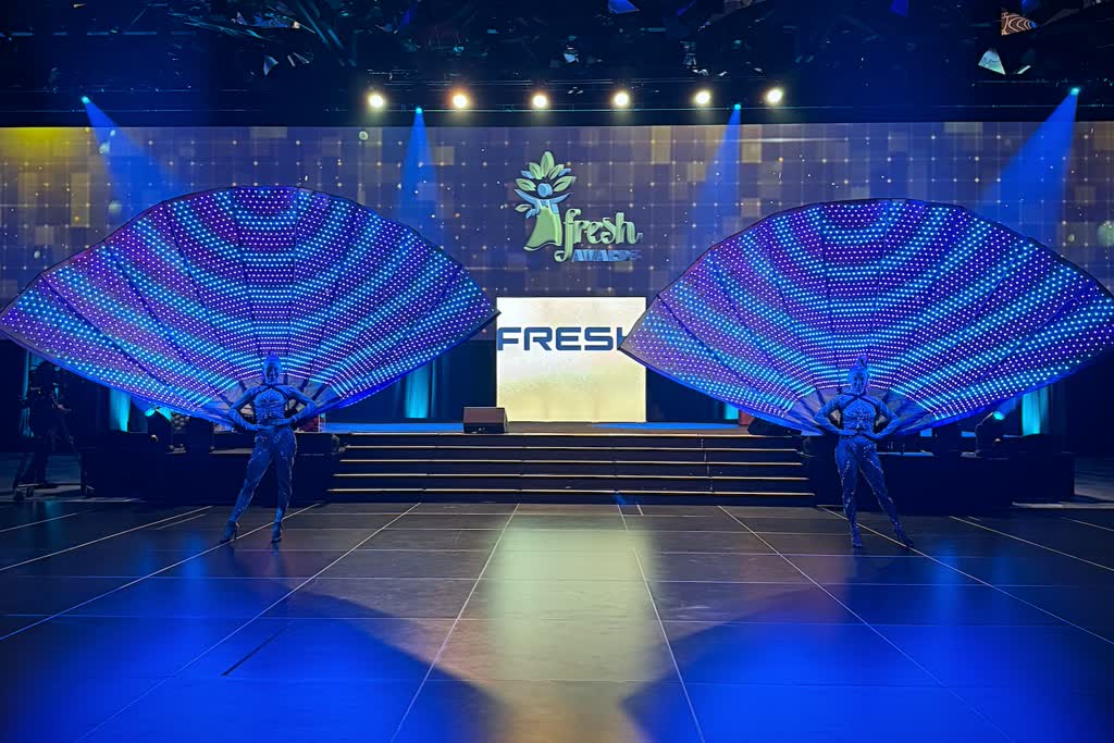 LED Peacock Fan photo 2